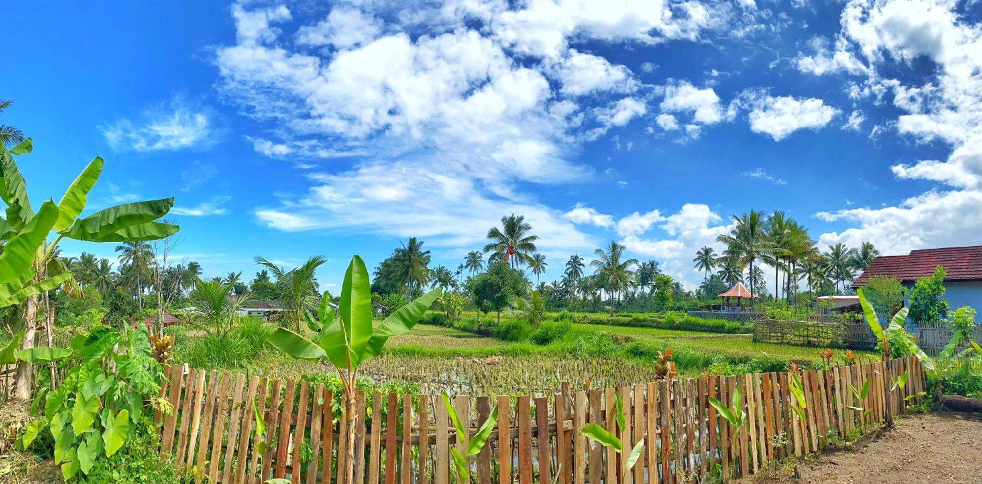 Alfarizi Homestay Tetebatu Exterior photo