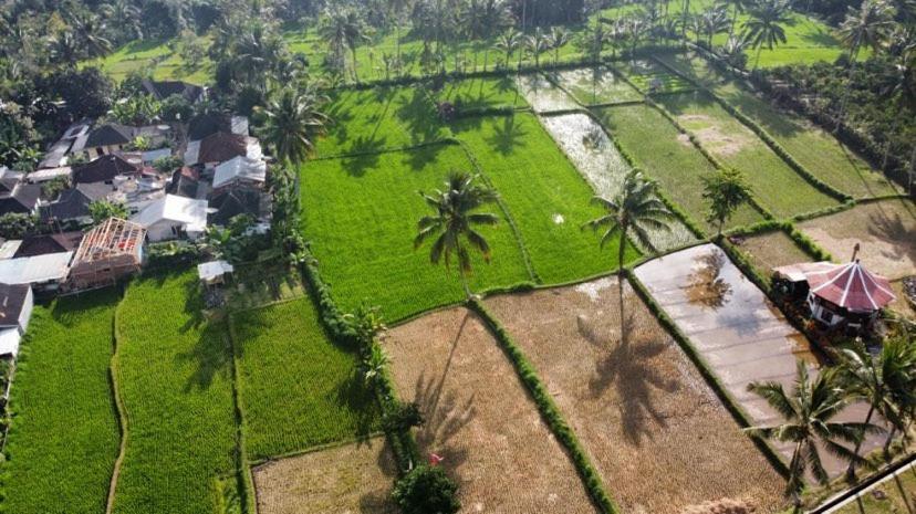 Alfarizi Homestay Tetebatu Exterior photo